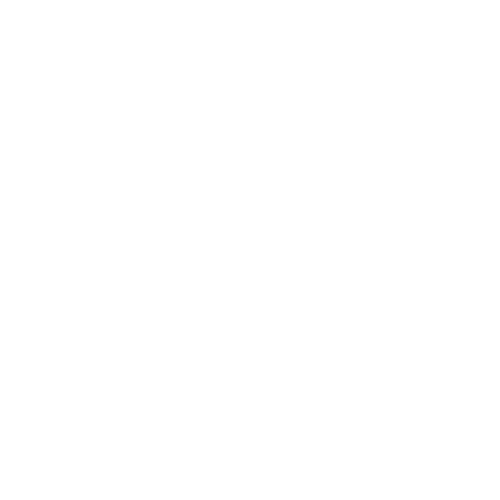 Pied Piper Mortgage Servicing logo